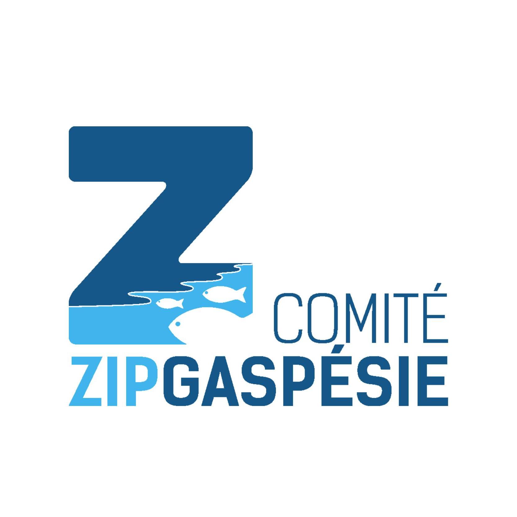 Quelques une de mes collaborations